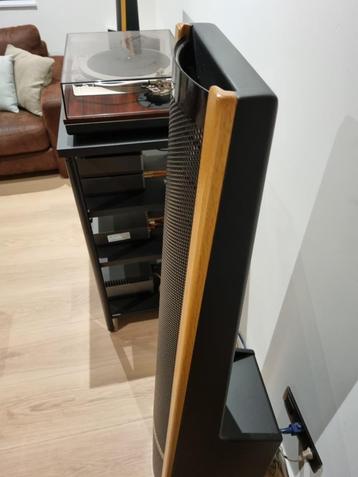 MARTIN LOGAN AERIUS I boxen in zeer mooie staat geen krassen