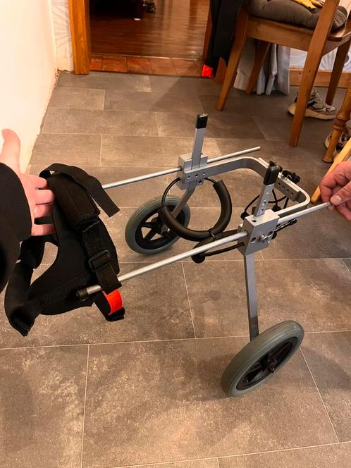 Rolstoel voor honden, Dieren en Toebehoren, Honden-accessoires, Gebruikt, Ophalen of Verzenden