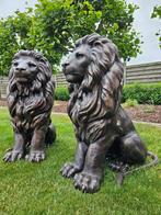 BRONZEN KOPPEL LEEUWEN BETAALBAAR ! RUIME KEUZE TUINBEELDEN, Tuin en Terras, Ophalen of Verzenden, Nieuw, Overige materialen, Dierenbeeld