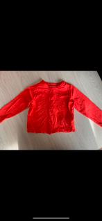 Mooie oranje gilet maat 80, Ophalen of Verzenden