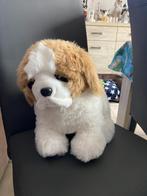 Knuffel Sint Bernard hond, Ophalen of Verzenden, Hond