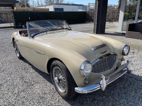 Austin Healey 3000 Mk1 2.9cc BT7 2 +2 Roadster (Project)1960, Auto's, Austin, Bedrijf, Te koop, Benzine, Cabriolet, 2 deurs, Handgeschakeld