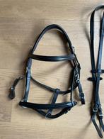 COMBINATIE hoofdstel, Dieren en Toebehoren