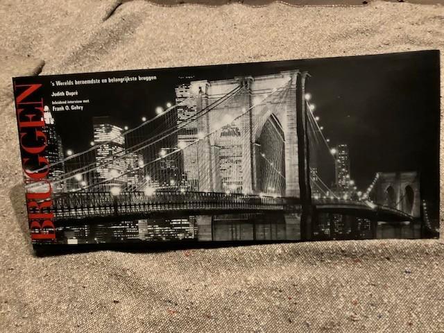 BRUGGEN JUDITH DUPRE FRANK O. GEHRY ISBN 3-8290-0411-7/300, Boeken, Kunst en Cultuur | Architectuur, Gelezen, Ophalen of Verzenden