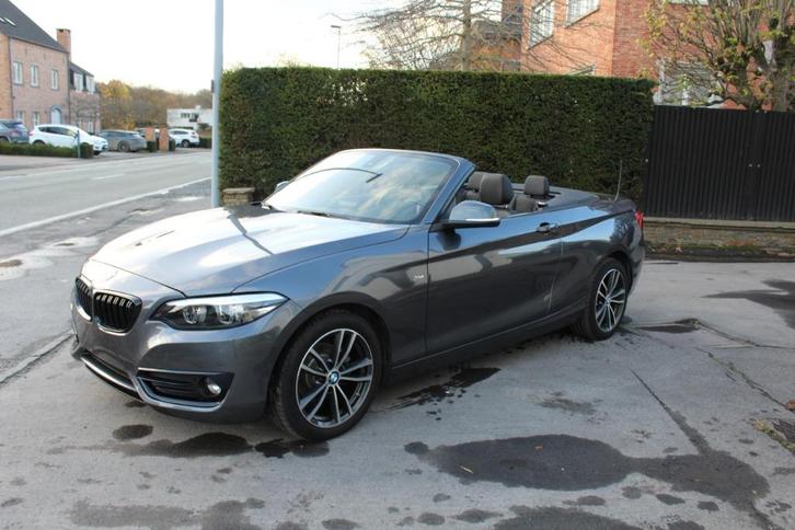 BMW 218 i Cabrio Sport Line, PDC, LED, GPS, garantie, Autos, BMW, Entreprise, Achat, Série 2, ABS, Régulateur de distance, Airbags