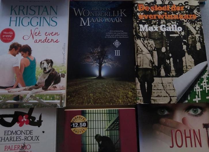 boeken te koop 2, Boeken, Romans, Gelezen, Ophalen of Verzenden