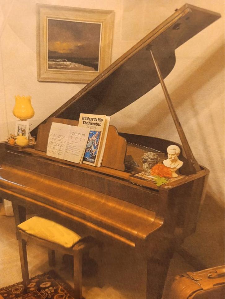 Petrof kleine vleugelpiano., Musique & Instruments, Pianos, Enlèvement