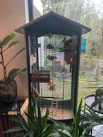 Volière met zebravinken, Dieren en Toebehoren, Ophalen, Gebruikt, Metaal, Volière