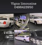 Vigna limousine 0496423950 a votre service depuis 1998, Enlèvement ou Envoi