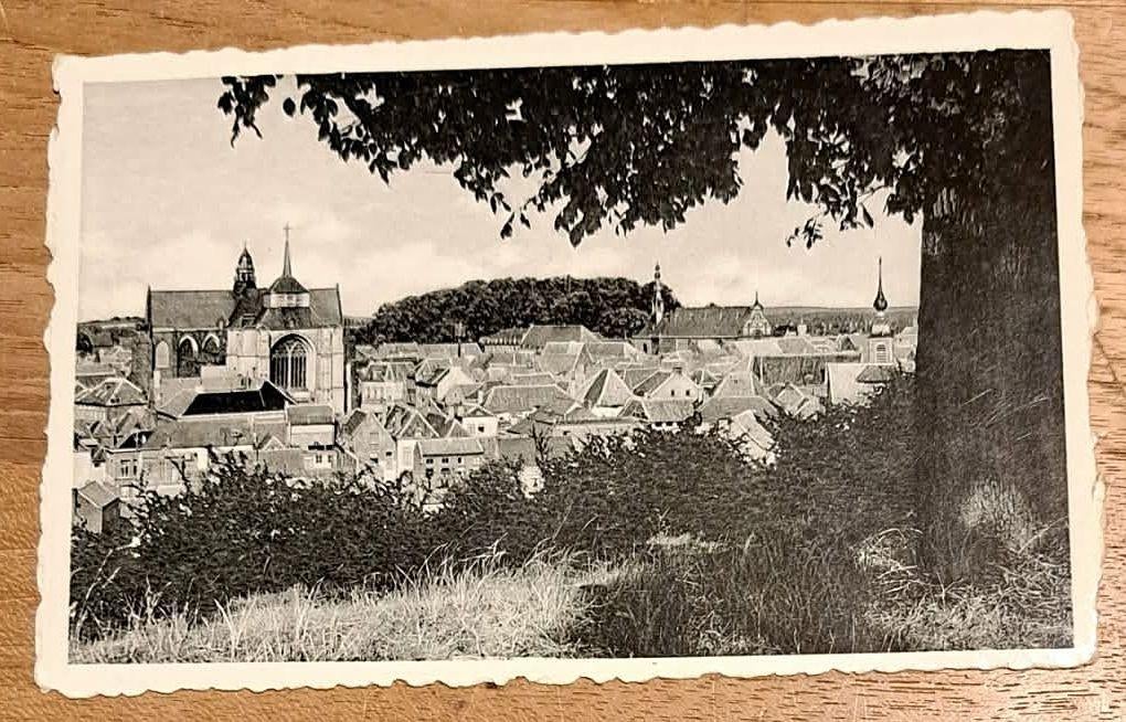 postkaart Diest - Panorama der Stad, Verzamelen, Ophalen of Verzenden, Ongelopen, Vlaams-Brabant