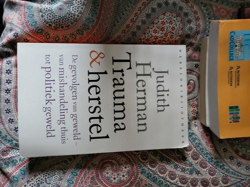 Judith Lewis Herman - Trauma en herstel, Boeken, Psychologie, Zo goed als nieuw, Ophalen