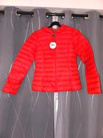 Doudoune femme jott, Enlèvement, Taille 34 (XS) ou plus petite, Jott, Neuf