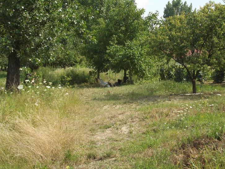 Terrain Hongrie, Szemere (Borsod-Abaúj-Zemplén), Immo, Étranger, Europe autre, Terrain ou Parcelle, Campagne