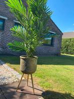 kunstplant incl plantenhouder, Tuin en Terras, Planten | Bomen, Ophalen