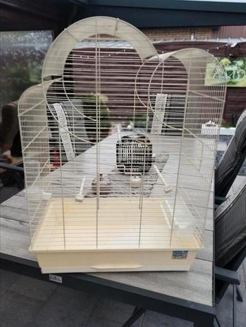 Mooie vogelkooi zie foto's  beschikbaar voor biedingen
