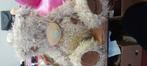 Me 2 you beertje, Kinderen en Baby's, Speelgoed | Knuffels en Pluche, Ophalen