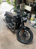 Triumph speed twin 900 2024