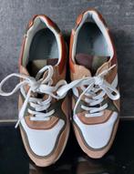 chaussure basket, Overige kleuren, Ophalen of Verzenden, Zo goed als nieuw, Sneakers