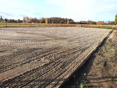 Piste te huur, Dieren en Toebehoren, Stalling en Weidegang