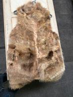 BontJas  bodywarmer, Kleding | Dames, Bodywarmers, Bruin, Echo tempo, Zo goed als nieuw, Ophalen