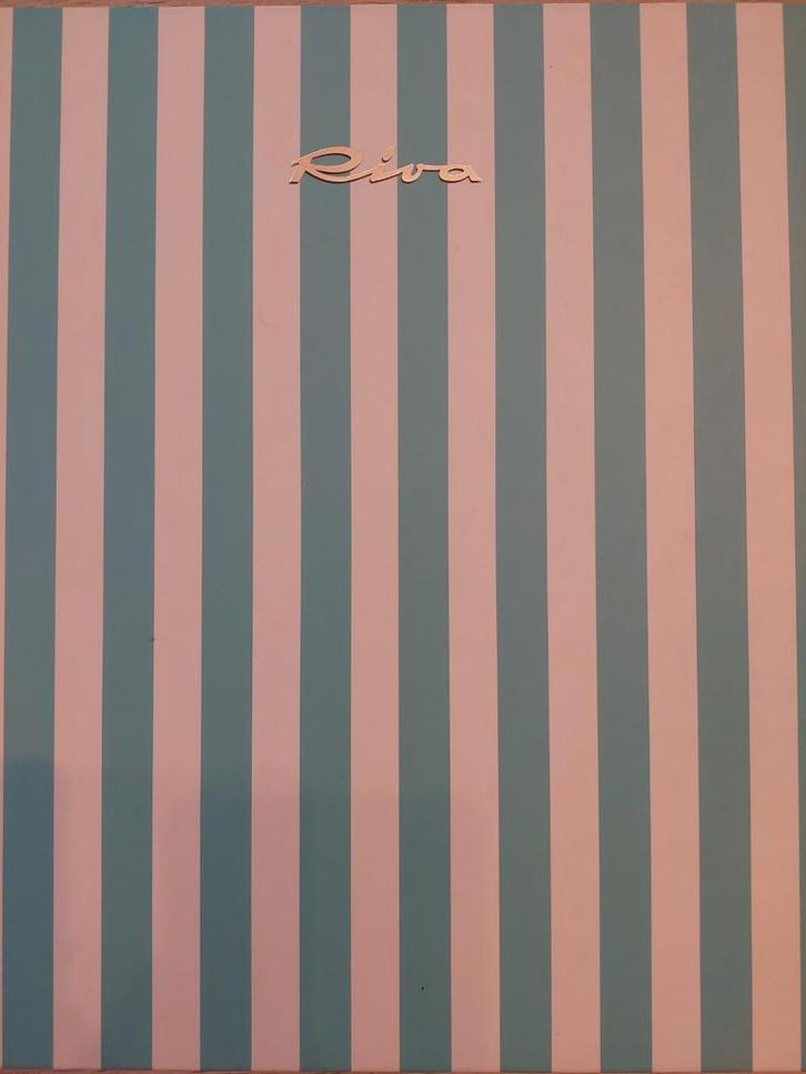 Riva Duemilaotto 2008 (Laminated Boards) Italy, Livres, Catalogues & Dépliants, Enlèvement ou Envoi