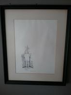 Mooie tekeningen, Antiek en Kunst, Kunst | Tekeningen en Fotografie, Ophalen of Verzenden