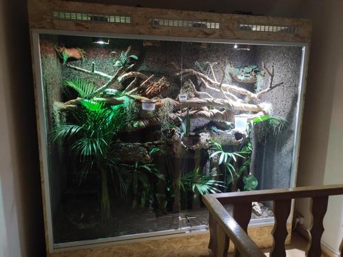 TE KOOP! Terrarium 200cm hoog x 180 cm breed x 70 cm diep, Dieren en Toebehoren, Reptielen en Amfibieën