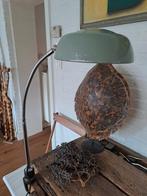 Industrieele klemlamp, Ophalen