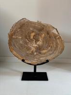 Versteend hout incl. staander, Enlèvement ou Envoi, Neuf