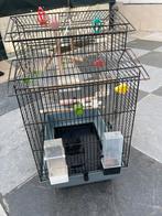 Vogelkooien, Ophalen, Zo goed als nieuw