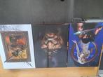 Conan strips hardcover in box, Boeken, Stripverhalen, Ophalen of Verzenden, Complete serie of reeks, Zo goed als nieuw