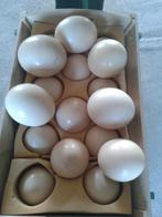 uitgeblazen struisvogeleieren voor decoratie, Enlèvement