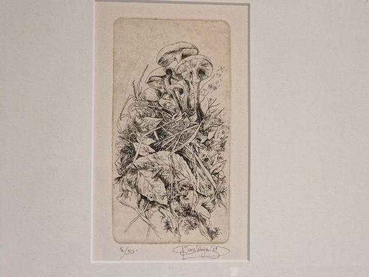 Ets - Joris Thijs, Antiek en Kunst, Kunst | Tekeningen en Fotografie, Ophalen