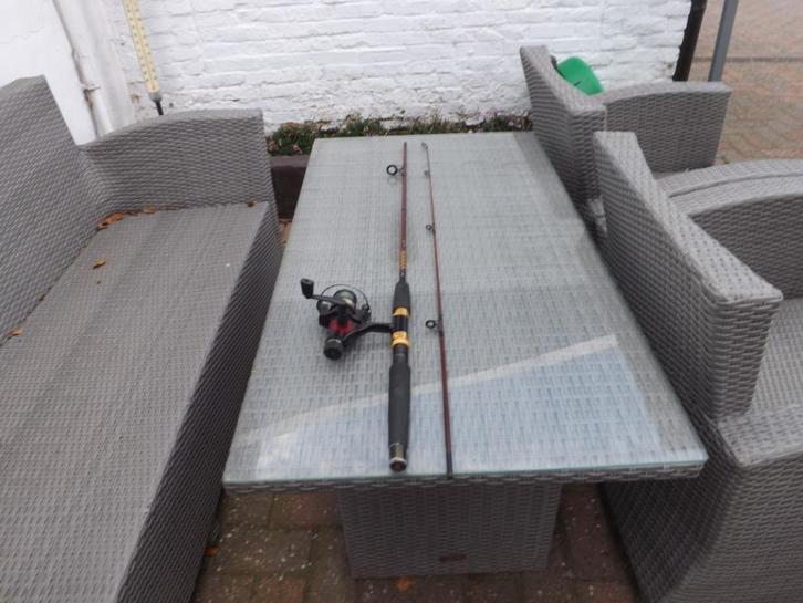 spinhengel merk bifa 200 met molen op, Watersport en Boten, Hengelsport | Roofvissen, Gebruikt, Werphengel, Ophalen