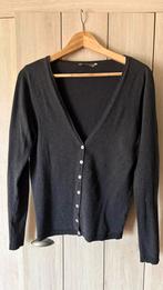 Cardigan donkergrijs mt L, Maat 42/44 (L), Ophalen of Verzenden, Zo goed als nieuw, Grijs