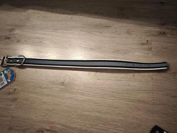Halsband hond  beschikbaar voor biedingen