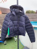 Winterjas Superdry, Superdry, Ophalen, Nieuw, Maat 42/44 (L)