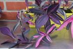 Tradescantia Palida Pink stripe, Huis en Inrichting, Kamerplanten, Ophalen of Verzenden