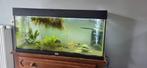 Aquarium van 1meter, Dieren en Toebehoren, Ophalen, Zo goed als nieuw