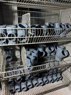 Lot important de raccords PVC sous pression 16-315 mm, Enlèvement, Comme neuf, PVC