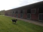 Binnen rijhal met stallingen, weide en woning te 3930 Achel, M