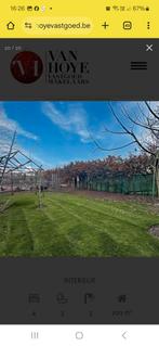 HOB met zeer grote tuin en garage met grote oprit te koop, Immo