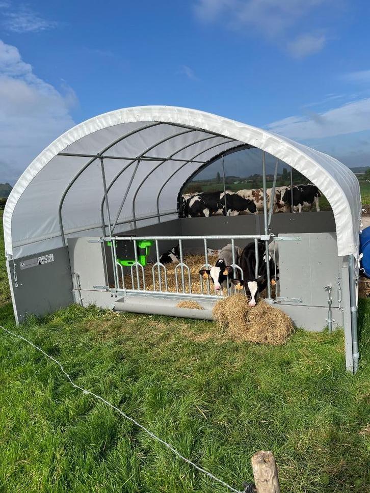 Huisvesting kalveren, Dieren en Toebehoren, Runderen