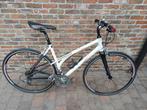dames sportfiets Koga, Fietsen en Brommers, Ophalen, 28 inch, Gebruikt, 47 tot 50 cm