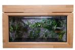 Vivarium en bois de hêtre avec décoration de fond, Dieren en Toebehoren, Reptielen en Amfibieën | Toebehoren, Terrarium of Paludarium