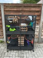 Savic Suite Royale XL Kooi, Dieren en Toebehoren, Knaagdieren en Konijnen | Hokken en Kooien, Ophalen, Kooi, 90 cm of meer, Rat