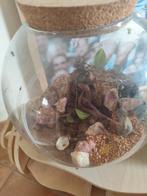 Teretarium, Dieren en Toebehoren, Pluimvee