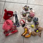 Nieuw hondenspeelgoed en accessoires te koop!!, Ophalen, Nieuw