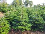 Kerstbomen Nordmann, Ophalen