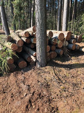 15m3 openhaardhout douglas beuk den30 euro m3per m3, Enlèvement